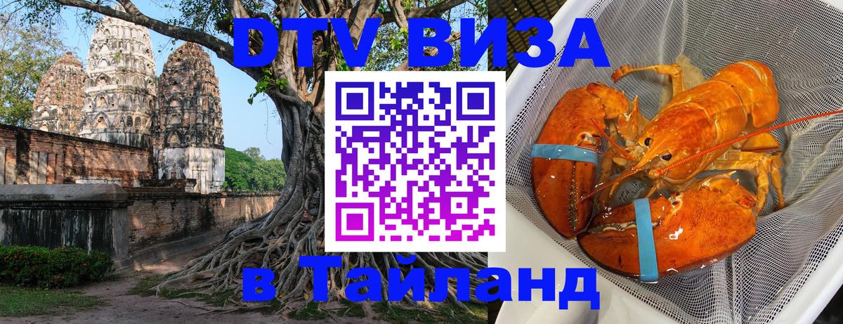 Сколько стоит DTV виза — актуальные цены, оформление даже без документов - Пермь  07.12.2025 